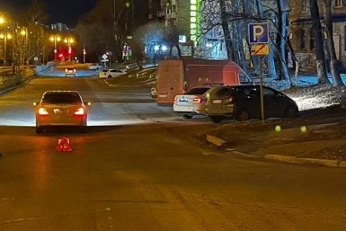 Итоги дня: криминальные коровы, 200000 рублей за задержку рейса и война с ЛГБТ-пропагандой