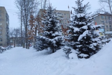 Итоги дня: двое на льдине, липовая икра, в ожидании снега, а в зоосаде болтливый тигр