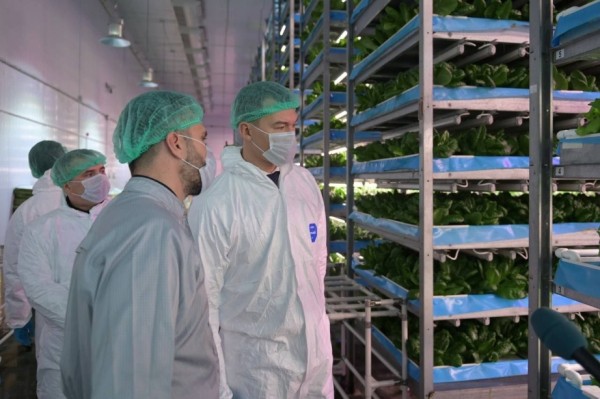 Михаил Дегтярев проинспектировал сельхозпредприятия краевой столицы и Хабаровского района