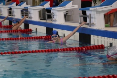 Итоги дня: криминальные коровы, 200000 рублей за задержку рейса и война с ЛГБТ-пропагандой