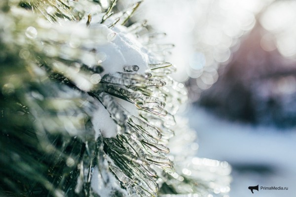 Как 12 мм льда поставили город на колени &mdash; история беспощадной ледяной блокады Владивостока в 2020 году