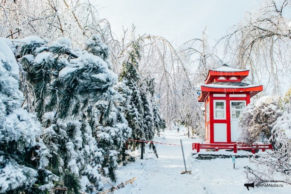 Как 12 мм льда поставили город на колени &mdash; история беспощадной ледяной блокады Владивостока в 2020 году