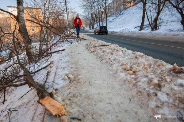 Как 12 мм льда поставили город на колени &mdash; история беспощадной ледяной блокады Владивостока в 2020 году