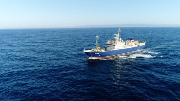 Взаимодействие бизнеса и вузов решает кадровые задачи рыбопромышленной отрасли — ГК "Русский Краб" Взаимодействие бизнеса и вузов решает кадровые задачи рыбопромышленной отрасли — ГК "Русский Краб"