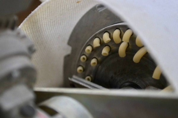 Михаил Дегтярев проинспектировал сельхозпредприятия краевой столицы и Хабаровского района