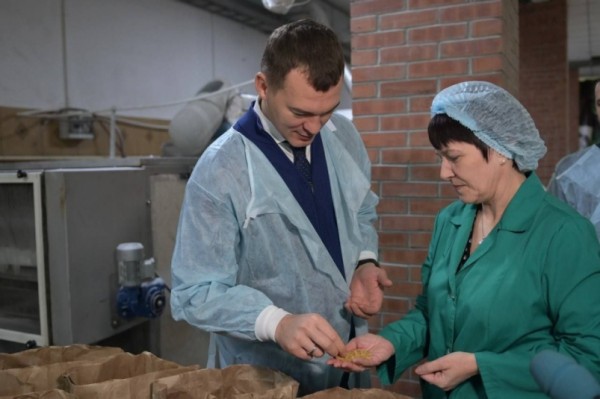 Михаил Дегтярев проинспектировал сельхозпредприятия краевой столицы и Хабаровского района