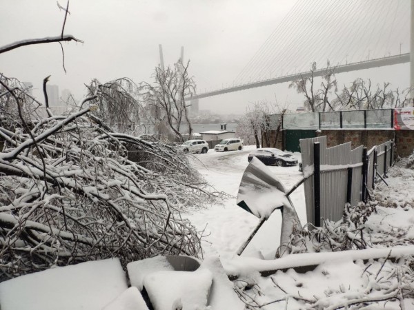 Как 12 мм льда поставили город на колени &mdash; история беспощадной ледяной блокады Владивостока в 2020 году