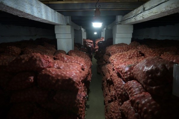 Михаил Дегтярев проинспектировал сельхозпредприятия краевой столицы и Хабаровского района