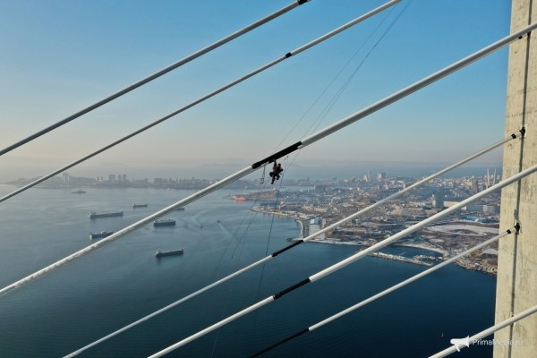 Как 12 мм льда поставили город на колени &mdash; история беспощадной ледяной блокады Владивостока в 2020 году