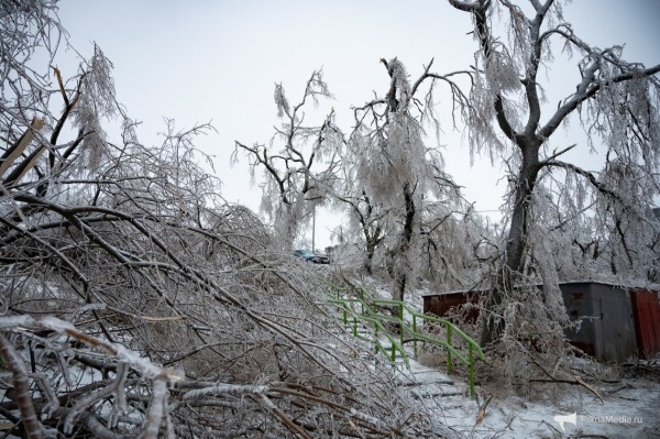 Как 12 мм льда поставили город на колени &mdash; история беспощадной ледяной блокады Владивостока в 2020 году