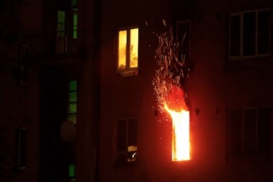 Итоги дня: двое на льдине, липовая икра, в ожидании снега, а в зоосаде болтливый тигр