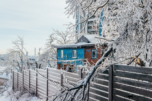 Как 12 мм льда поставили город на колени &mdash; история беспощадной ледяной блокады Владивостока в 2020 году