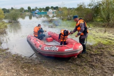Итоги дня: Пукас погиб, еще один единоросс, с кролика на ежа, дети вдохновились Итоги дня: Пукас погиб, еще один единоросс, с кролика на ежа, дети вдохновились