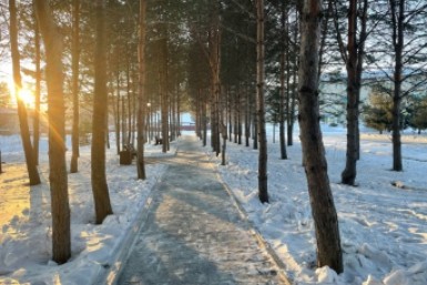 Итоги дня: Бут в ЛДПР, циклон наступает, из арестанта в каменщики, а у хоккеистов юбилей