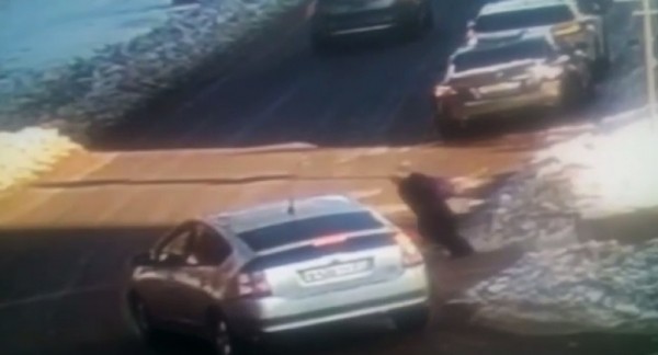 9-летняя девочка попала под колеса автомобиля на пешеходном переходе в Хабаровске