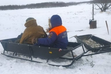 Итоги дня: наглая тигрица,  ограбил родственников и 900 вакансий