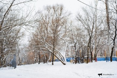 Итоги дня: Бут в ЛДПР, циклон наступает, из арестанта в каменщики, а у хоккеистов юбилей