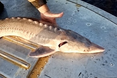 Итоги дня: лазерный прорыв, забота бездомным, срок за кабель и борьба с ЛГБТ-литературой