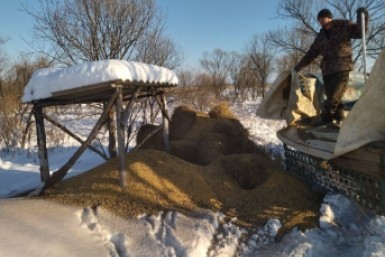 Итоги дня: проиндексировали меры соцподдержки, выросли тарифы и Крестный ход по Уссури