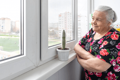 Итоги дня: Бикин без воды, тигр отдыхает у дороги, мороз крепчает и "фотосессия" вепря