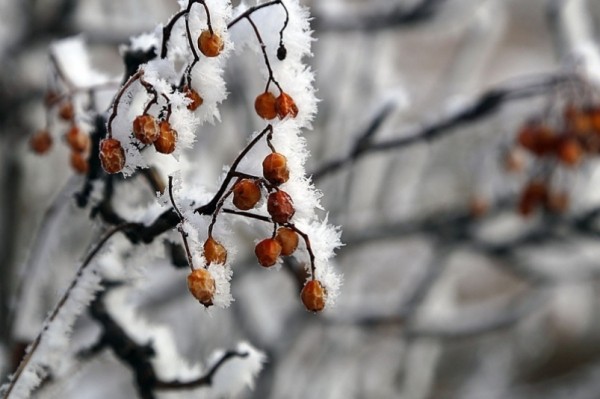 Массы холодного воздуха с арктического побережья доберутся до Хабаровска уже на выходных&nbsp;