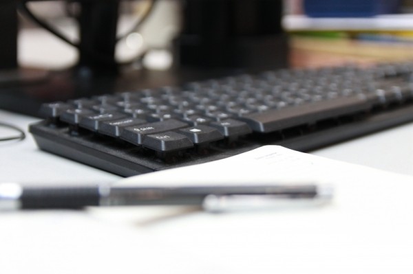 Итоги дня: Бикин без воды, тигр отдыхает у дороги, мороз крепчает и "фотосессия" вепря