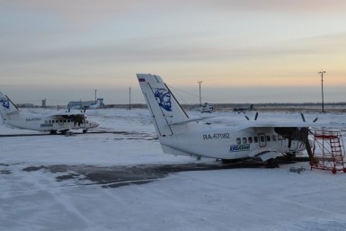 Итоги дня: Бикин без воды, тигр отдыхает у дороги, мороз крепчает и "фотосессия" вепря