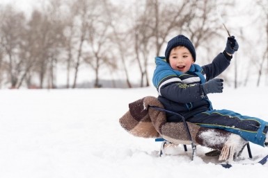 Итоги дня: экс-ректор ТОГУ в китайском вузе, присяжные Фургала признали виновным