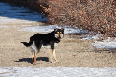 Итоги дня: причины крушения Ан-26, привет из Хабаровска и история с душком