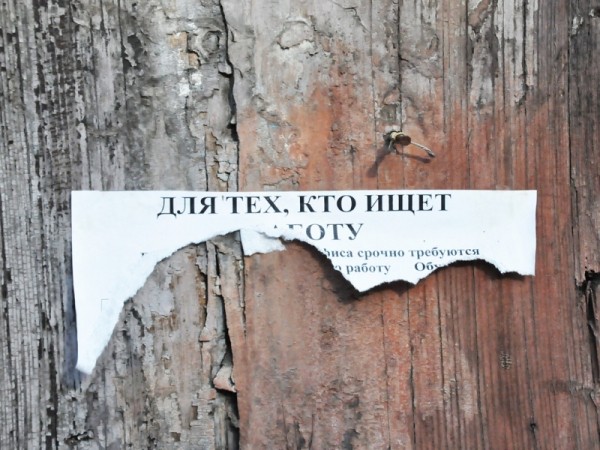 Число самозанятых в Хабаровском крае за 2022 год год увеличилось в два раза