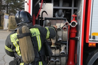 Итоги дня: главное, чтоб Путин, слёт боевых подруг, отлов злого тигра и КаМАЗ подарков