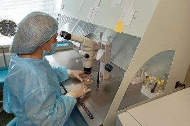 "Впервые смогли съездить в путешествие": в Хабаровском крае растут выплаты для многодетных