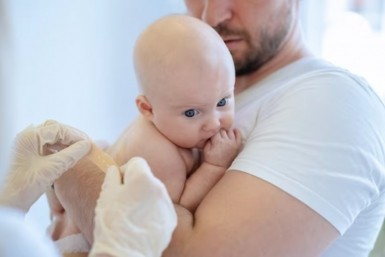 Итоги дня: почему тигры убивают, нарушения подачи тепла, фирмы-однодневки в Хабаровске