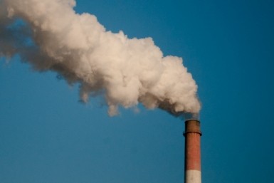 Итоги дня: почему тигры убивают, нарушения подачи тепла, фирмы-однодневки в Хабаровске