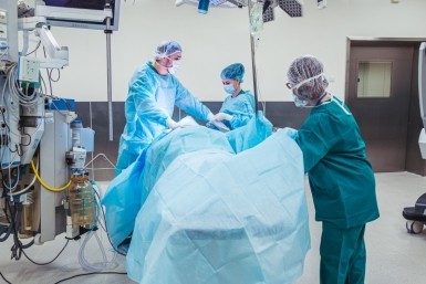 Итоги дня: главное, чтоб Путин, слёт боевых подруг, отлов злого тигра и КаМАЗ подарков