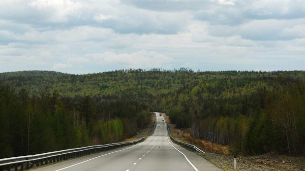 Государственную инвентаризацию лесов проведут в Хабаровском крае
