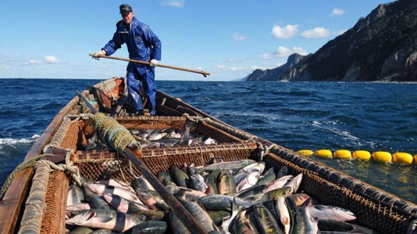 Ограничения на путину в Хабаровском крае сохранят в 2023 году
