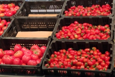 Итоги дня: как в пещере, тигриные шалости, отстаем по стадионам и Движение первых