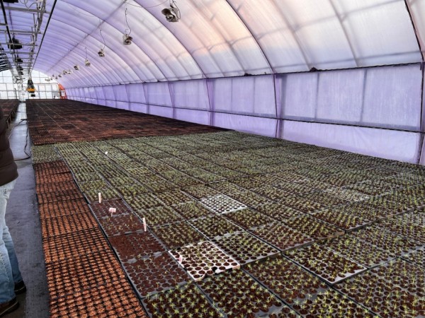 Новые технологи внедряет "Ванинский центр лесоводства" в Хабаровском крае