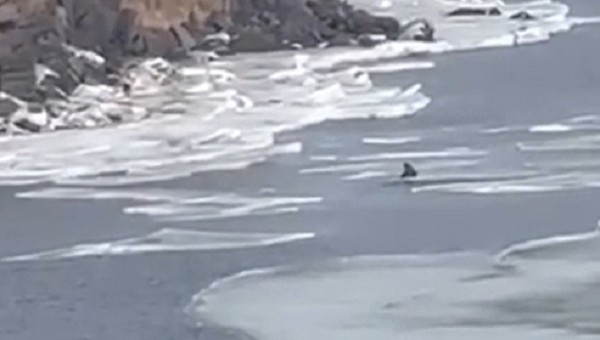 Любитель зимней рыбалки едва не уплыл на льдине в Хабаровском крае