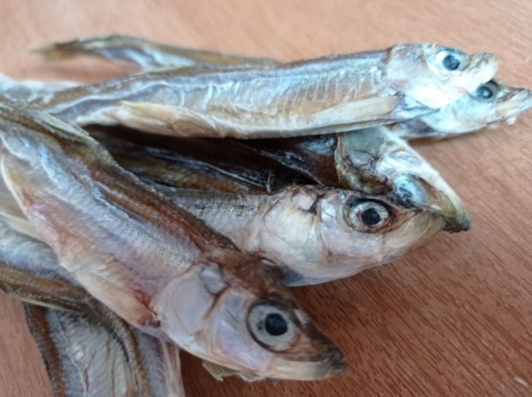 Фестиваль "Серебряная корюшка" прошел в Хабаровском крае