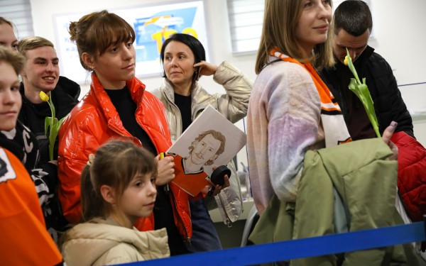 Тигры в городе