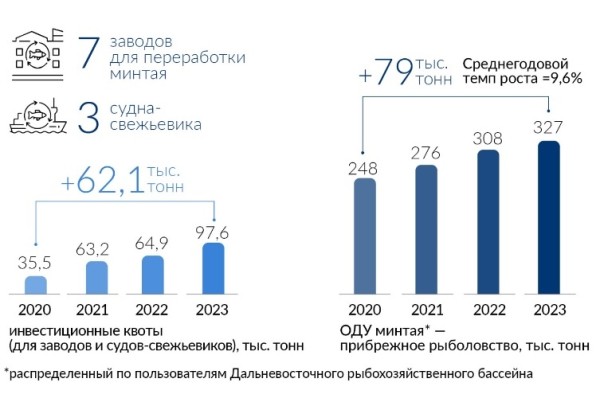 Прибрежный промысел минтая растет на 10% ежегодно благодаря инвестквотам