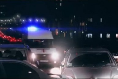 Итоги дня: дело о 53 млн, доброволец ищет девочку, спасти от мусора 10 собак и жеребёнок