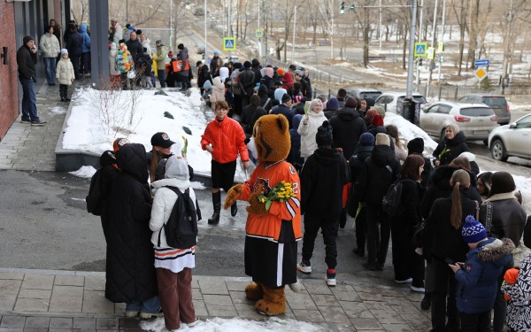 Тигры в городе