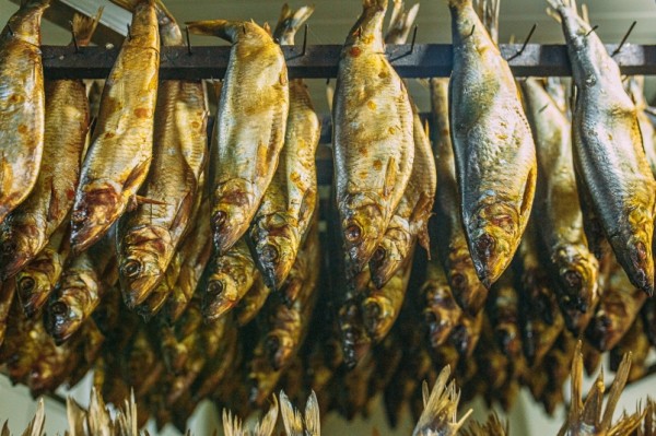 РСПП инициировал тонкую настройку нового механизма уплаты "природной ренты" в рыболовстве