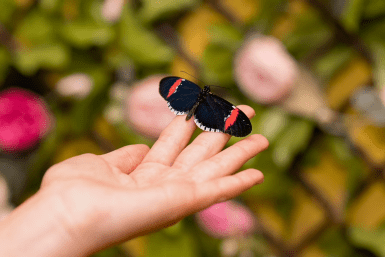 Итоги дня: ЧВК "Редан", книги меняют жизнь и самые необычные подарки