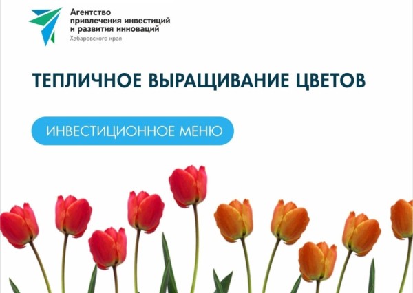 Тюльпаны, розы и хризантемы предлагают выращивать в Хабаровском крае