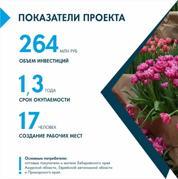 Тюльпаны, розы и хризантемы предлагают выращивать в Хабаровском крае