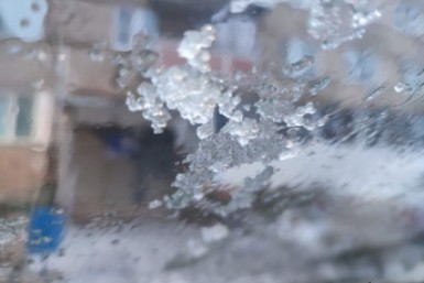 Итоги дня: больше меда, карманник-рецидивист, мощный циклон приближается